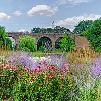 Buy canvas prints of Chelmsford Central Park Summer Gardens by Diana Mower