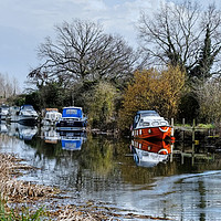 Buy canvas prints of Heybridge Canal Essex by Diana Mower
