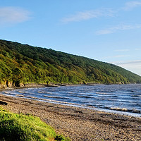 Buy canvas prints of  Sand Bay Beach and Woodlands by Diana Mower