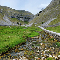 Buy canvas prints of Gordale Scar and beck Yorkshire by Diana Mower