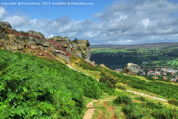 The Cow and Calf Ilkley Moor  Picture Board by Diana Mower