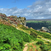 Buy canvas prints of The Cow and Calf Ilkley Moor  by Diana Mower
