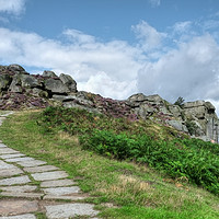 Buy canvas prints of The Cow and Calf Ilkley  by Diana Mower