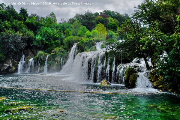 Skradinski buk waterfall Croatia  Picture Board by Diana Mower