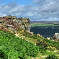 Buy canvas prints of The Cow and Calf Ilkley Moor by Diana Mower