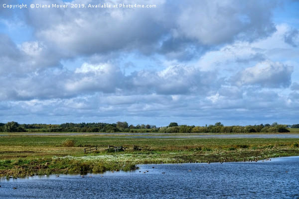 Norfolk Wetlands Picture Board by Diana Mower