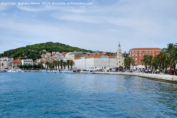 Split Croatia Picture Board by Diana Mower