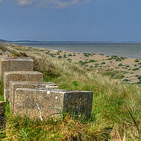 Buy canvas prints of Dunwich Beach Tank Traps by Diana Mower