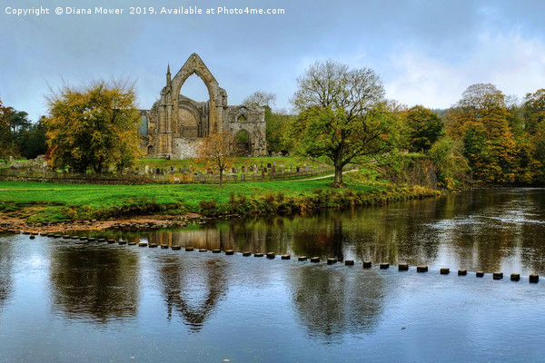 Bolton Abbey Stepping Stones Wharfedale Picture Board by Diana Mower