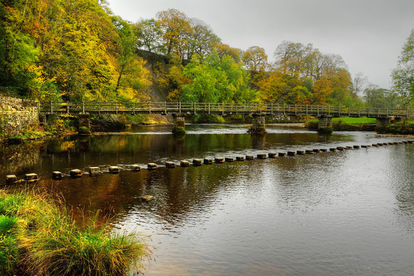 Stepping Stones and bridge Bolton Abbey Picture Board by Diana Mower