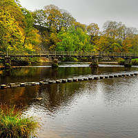 Buy canvas prints of Stepping Stones and bridge Bolton Abbey by Diana Mower