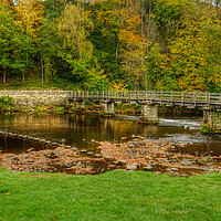 Buy canvas prints of Bolton Abbey Stepping Stones and bridge  by Diana Mower