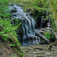 Buy canvas prints of Folly Dolly Falls by Diana Mower