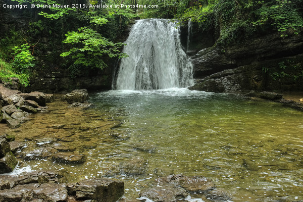  Janets Foss Waterfall Malham Yorkshire  Picture Board by Diana Mower