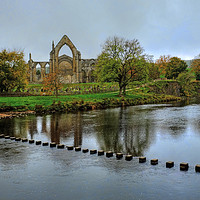 Buy canvas prints of Bolton Abbey Wharfedale by Diana Mower