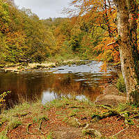 Buy canvas prints of Autumn on the River Wharfe  by Diana Mower
