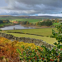 Buy canvas prints of Lower Laithe Reservoir From Pennistone Hill by Diana Mower