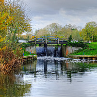 Buy canvas prints of Beeleigh Lock by Diana Mower