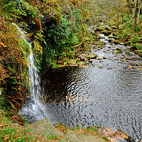 Buy canvas prints of Lumb Falls Yorkshire by Diana Mower