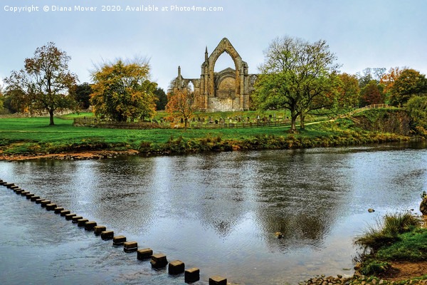 Bolton Abbey Wharfedale Yorkshire Picture Board by Diana Mower