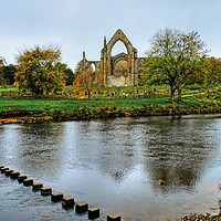 Buy canvas prints of Bolton Abbey Wharfedale Yorkshire by Diana Mower