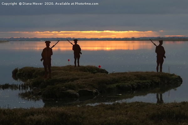 Mersea Island Silhouettes Picture Board by Diana Mower