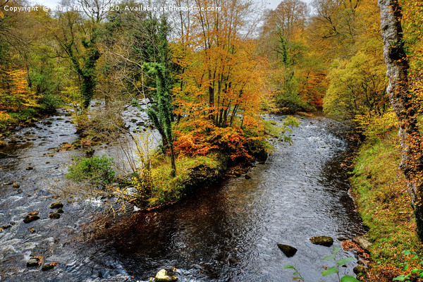 The River Wharfe Picture Board by Diana Mower