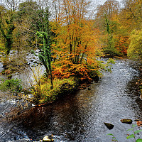 Buy canvas prints of The River Wharfe by Diana Mower