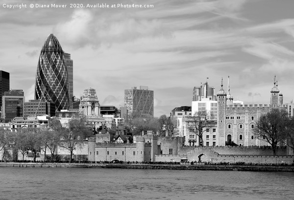 Traitors Gate Tower of London in Monochrome Picture Board by Diana Mower