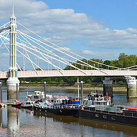 Buy canvas prints of Albert Bridge London Panoramic by Diana Mower