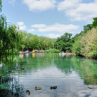 Buy canvas prints of Finsbury Park Lake by Diana Mower