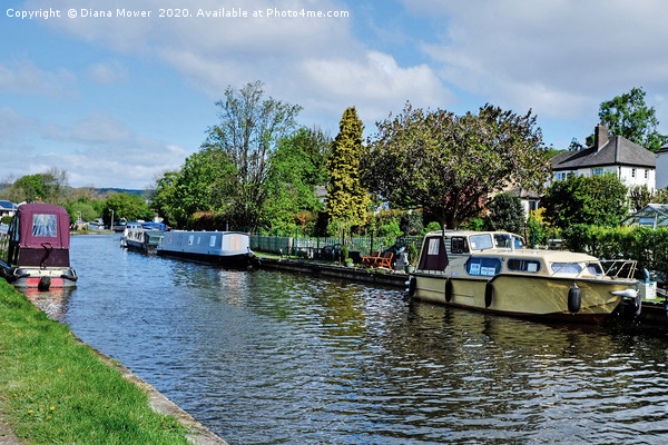 Leeds and Liverpool Canal Bingley Picture Board by Diana Mower