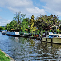 Buy canvas prints of Leeds and Liverpool Canal Bingley by Diana Mower