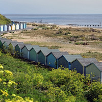 Buy canvas prints of Pakefield Beach Huts Suffolk by Diana Mower