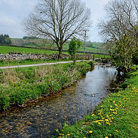 Buy canvas prints of Malham Beck by Diana Mower