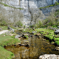 Buy canvas prints of Malham Cove Yorkshire Dales by Diana Mower
