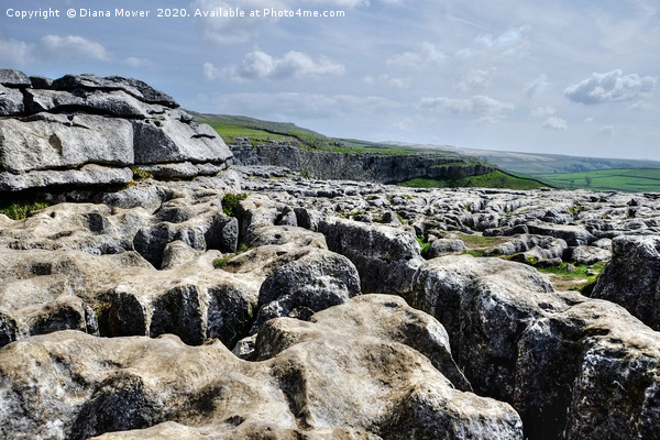 The limestone pavement at Malham Cove Picture Board by Diana Mower