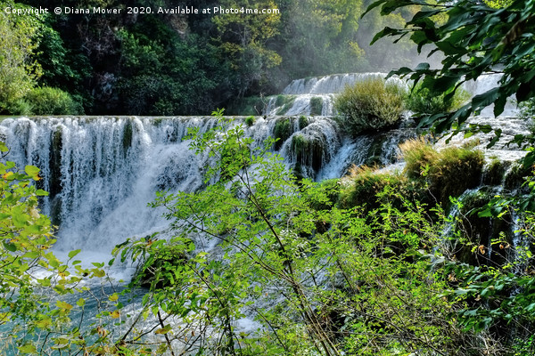 Krka Waterfalls Croatia  Picture Board by Diana Mower