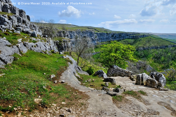 Malham Cove Descent Picture Board by Diana Mower