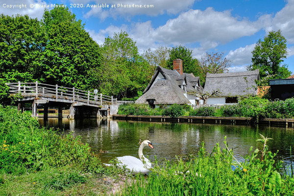 Flatford Cottage on the Stour Picture Board by Diana Mower