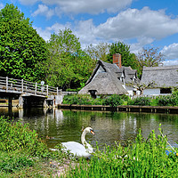 Buy canvas prints of Flatford Cottage on the Stour by Diana Mower