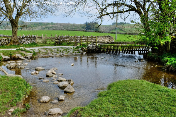  Malham Beck Yorkshire Picture Board by Diana Mower