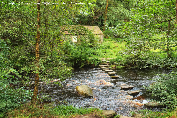 Stepping Stones across Hebden Beck Picture Board by Diana Mower