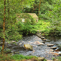 Buy canvas prints of Stepping Stones across Hebden Beck by Diana Mower
