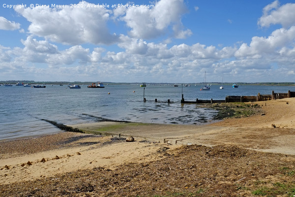 Bawdsey Quay Picture Board by Diana Mower