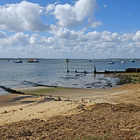 Buy canvas prints of Bawdsey Quay by Diana Mower