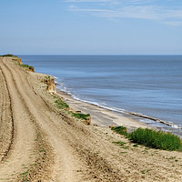 Buy canvas prints of The path to Covehithe Beach by Diana Mower