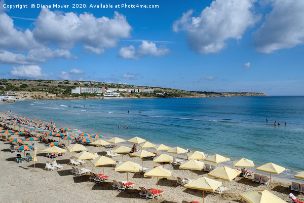 Mellieha Beach Malta Picture Board by Diana Mower