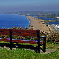 Buy canvas prints of Chesil Beach Dorset by Diana Mower