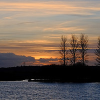 Buy canvas prints of Abberton Reservoir Sunset by Diana Mower